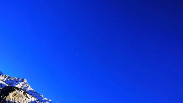 Casino Bet Rocker Assistance